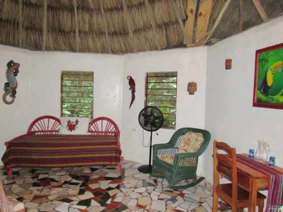 Macaw Bank Jungle Lodge - Rooms and Rates | Family Friendly Resort